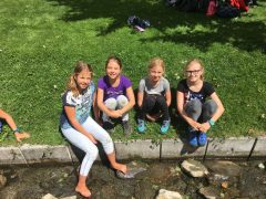 Galerie – Bild 53